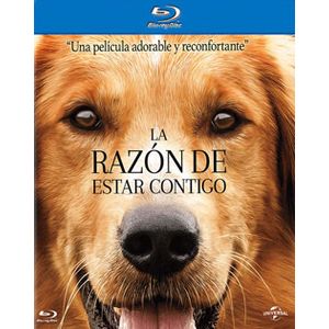 La Razon De Estar Contigo (Blu-ray) - Josh Gad