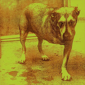 Alice In Chains - (Cd) - Alice In Chains