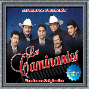 Tesoros De Coleccion: Los Caminantes - Exitos Vol. 1 (3 Cd'S) - (Cd) - Caminantes