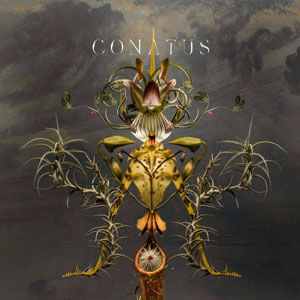 Conatus - (Cd) - Joep Beving