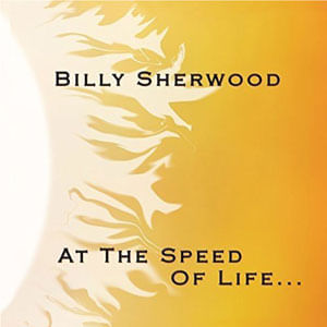 At The Speed Of Life - (Cd) - Billy Sherwood