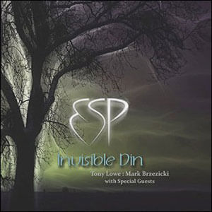 Invisible Din - (Cd) - Lowe & Brzezicki'S Esp