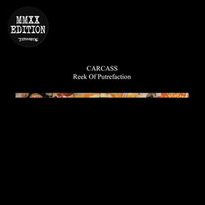 Reek Of Putrefaction (Ltd Edt) - (Lp) - Carcass