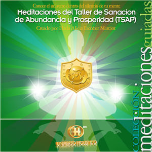 Meditaciones Del Taller De Sanacion De Abundancia Y Prosperidad - (Cd) - Hada Alicia Escobar Marciot