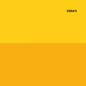 Amor Amarillo - Gustavo Cerati