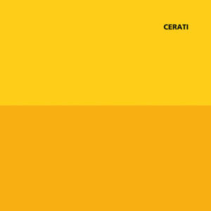Amor Amarillo - (Cd) - Gustavo Cerati
