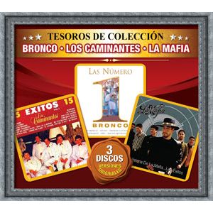 Tesoros De Coleccion (3 Cd'S) - (Cd) - Bronco / Caminantes / Mafia