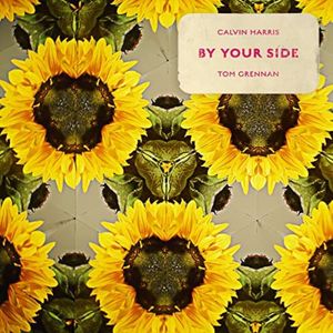By Your Side (Picture Disc) - (Lp) - Calvin Harris