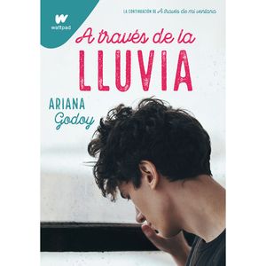 A Traves De La Lluvia - (Libro) - Ariana Godoy