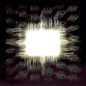 Aenima - (Cd) - Tool