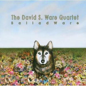 Balladware CD - David S. Ware