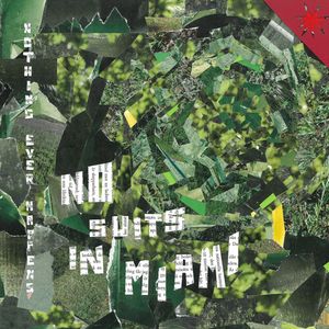 Nothing Ever Happens LP  Vinyl - No Suits in Miami