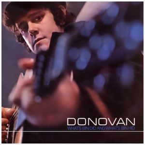 What's Bin Did And What's Bin Hid (Marble Blue & White) LP  Vinyl - Donovan