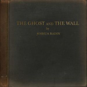The Ghost And The Wall LP  Vinyl - Joshua Radin