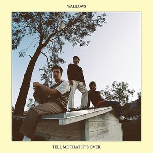 Tell Me That It's Over CD - Wallows