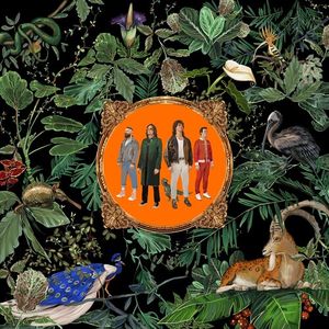 Amazing Things CD - Don Broco