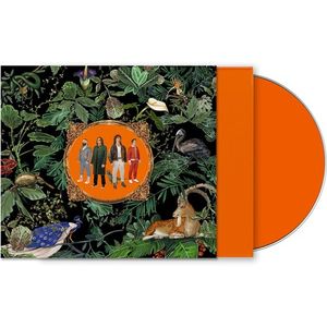 Amazing Things (Orange Jewel Case) CD - Don Broco