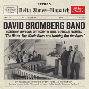 Blues The Whole Blues & Nothing But The Blues CD - David Bromberg