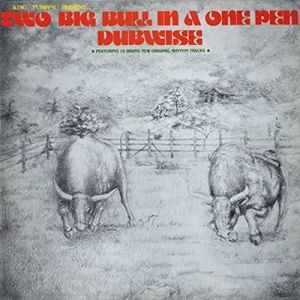 Two Big Bull In A One Pen (Dubwise Versions) CD - King Tubby's