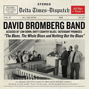 Blues The Whole Blues And Nothing But LP  Vinyl - David Bromberg