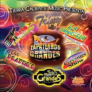 Zapateando Con Los Grandes  Var CD - Various Artists