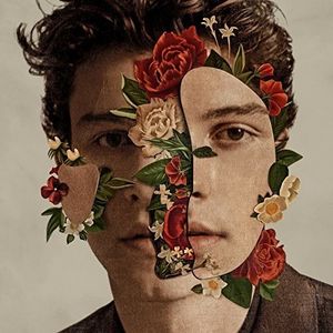 Shawn Mendes LP  Vinyl - Shawn Mendes