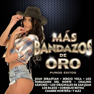 Mas Bandazos De Oro  Various CD - Various Artists