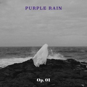 Op. 01 (incl. Booklet) CD - Purple Rain