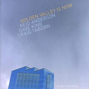 Golden Valley Is Now CD - Reid Anderson