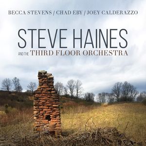 Steve Haines And The Third Floor Orchestra CD - Steve Haines