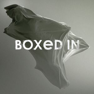 Boxed in LP  Vinyl - Boxed in