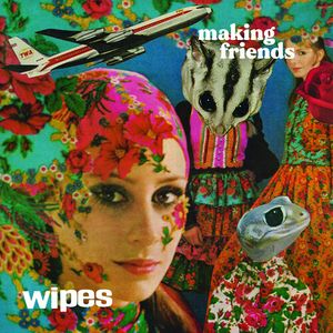 Making Friends LP  Vinyl - Wipes