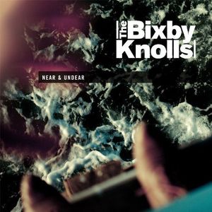 Near & Undear LP  Vinyl - Bixby Knolls