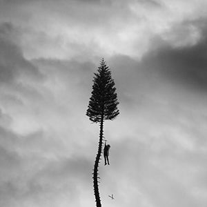 A Black Mile To The Surface LP  Vinyl - Manchester Orchestra