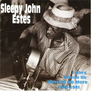 I Ain't Gonna Be Worried No More 1929-1941 CD - Sleepy John Estes