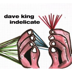 Indelicate CD - Dave King