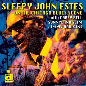 Brownsville Blues CD - Sleepy John Estes