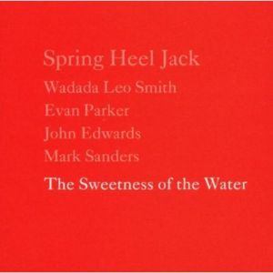 The Sweetness Of The Water CD - Spring Heel Jack