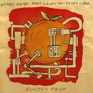 Electric Fruit CD - Mary Halvorson