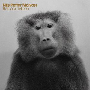 Baboon Moon CD - Nils Petter Molv r