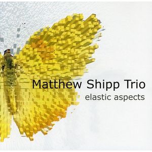 Elastic Aspects CD - Matthew Shipp Trio