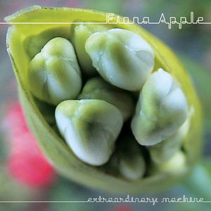 Extraordinary Machine CD - Fiona Apple