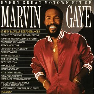 Every Great Motown Hit of Marvin Gaye CD - Marvin Gaye