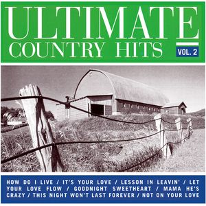 Ultimate Country Hits Vol. 2 (Various Artists) CD - Various Artists