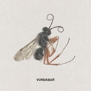 Good Old LP  Vinyl - Vundabar