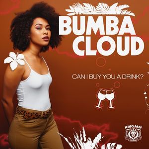 Can I Buy You A Drink? CD - Bumbacloud