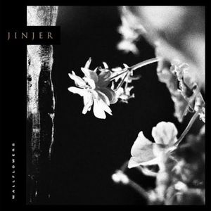 Wallflowers - (Cd) - Jinjer