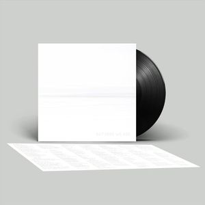 But Here We Are (Black Vinyl) - (Lp) - Foo Fighters