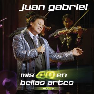 Mis 40 En Bellas Artes Vol. 2 (2 Lp'S) - (Lp) - Juan Gabriel