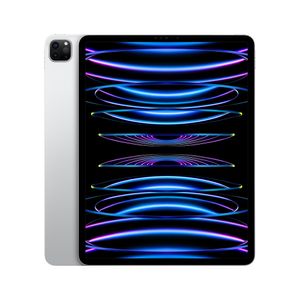 iPad Pro 12.9 Pulgadas Wi-Fi 256GB En Plata (6a. gen.) (Seminuevo)